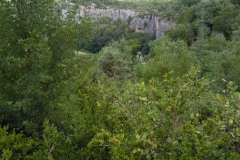 SAM_0161