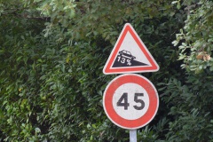 SAM_0166