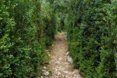 SAM_0168
