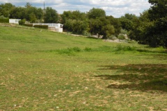 SAM_0172