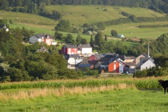 SAM_0263