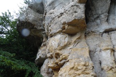 SAM_0301