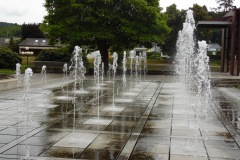 SAM_0304
