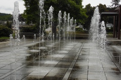 SAM_0305