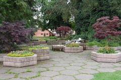 SAM_0308