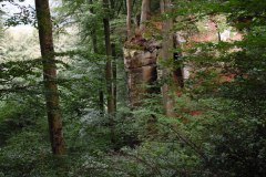 SAM_0321