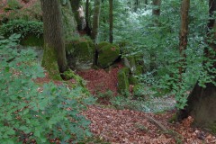 SAM_0322