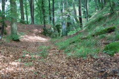 SAM_0323