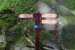SAM_0325