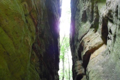 SAM_0332