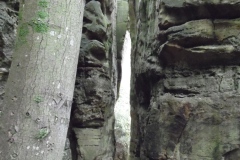 SAM_0333