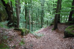 SAM_0337