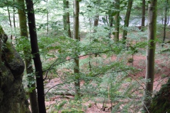 SAM_0340