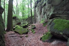 SAM_0341