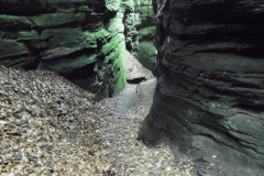 SAM_0342