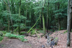SAM_0350