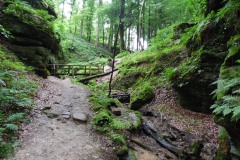 SAM_0355