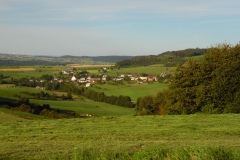 SAM_0362