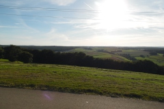 SAM_0364