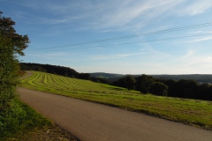 SAM_0367
