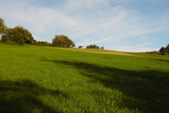 SAM_0369