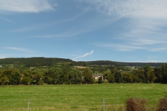 SAM_0370