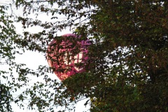SAM_0375