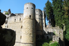 SAM_0385