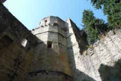 SAM_0386