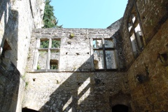 SAM_0389