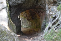 SAM_0409