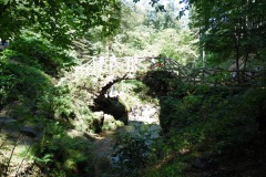 SAM_0419