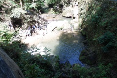 SAM_0420