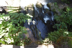 SAM_0421