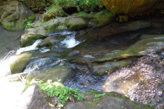 SAM_0422
