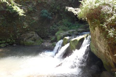 SAM_0423