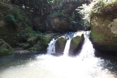 SAM_0424