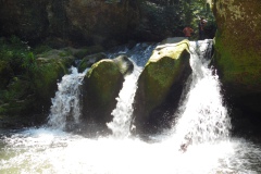 SAM_0425