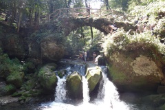 SAM_0426