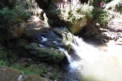 SAM_0429