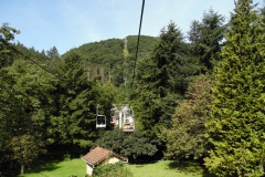 SAM_0433
