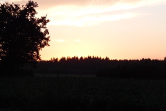 SAM_0834