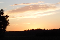 SAM_0835