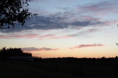 SAM_0841