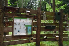 SAM_0845