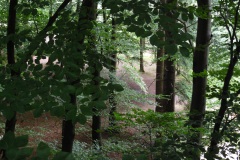 SAM_0852