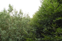 SAM_0856