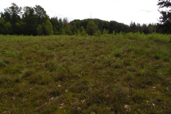 SAM_0867