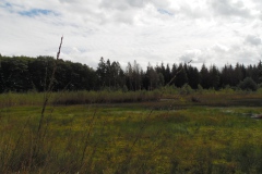 SAM_0868