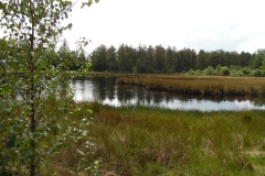 SAM_0869